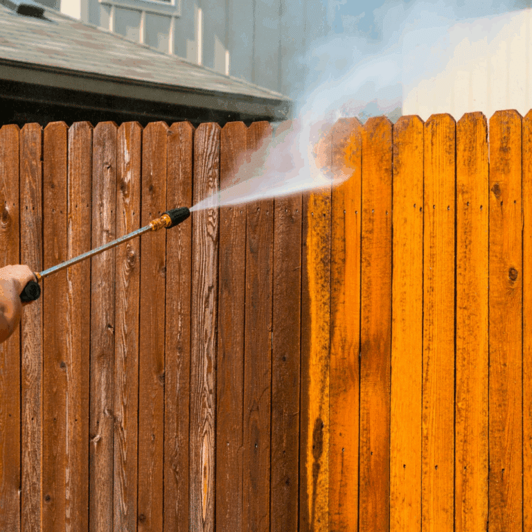 Fence Cleaning in McAllen, TX