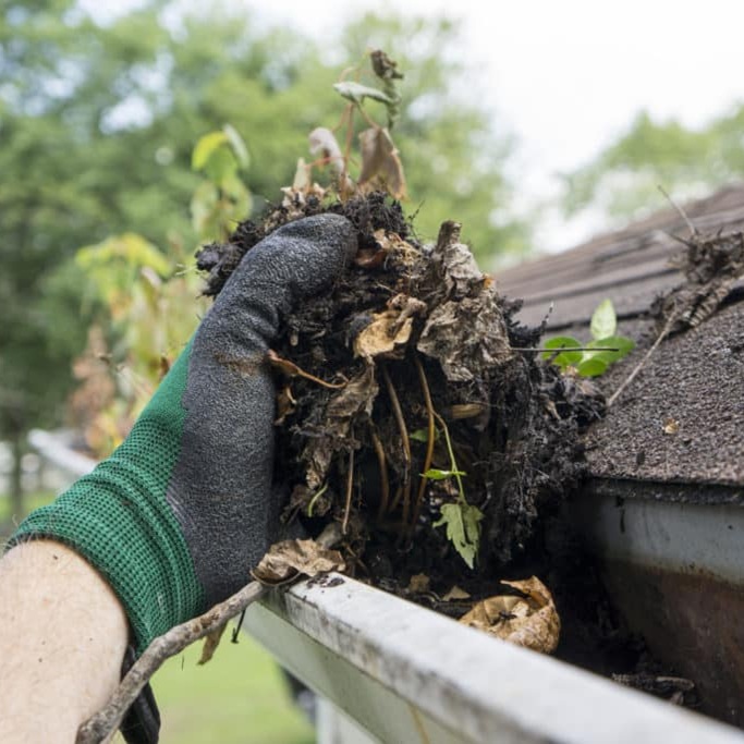 Gutter Cleaning FAQs